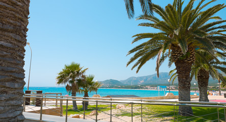 Obraz premium Summer in Spain background, beautiful Mediterranean Sea, palm trees and blue sky