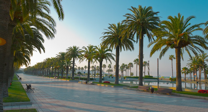 Palm trees promenade, Salou in Spain, Europe