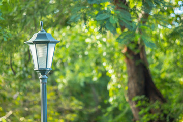 Fototapeta na wymiar Vintage Street Lamp in the Park.
