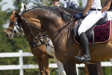 Close up of the rider on a horse during competition matches ridi