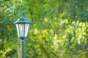 Vintage Street Lamp in the Park.