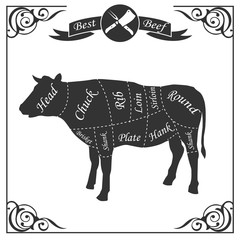 Beef cuts for butcher's shop isolated on a white background. Vector illustration.