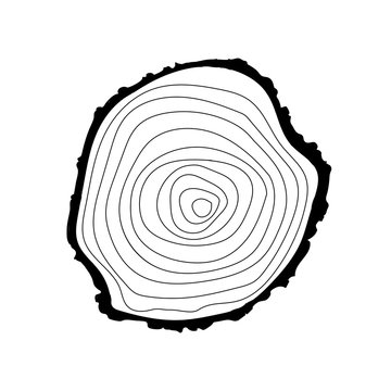tree rings icon