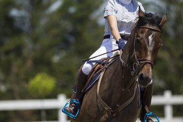Fototapeta premium Unknown rider on a horse during competition matches riding round
