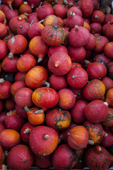 Rote Kürbisse