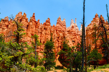 Bryce Canyon 2