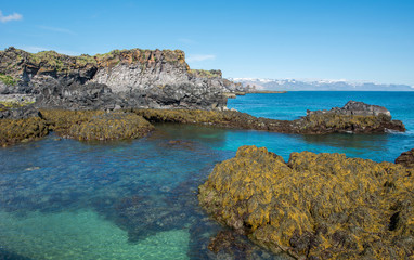 Fototapeta premium Hellnar, Snaefellsnes peninsula, Iceland
