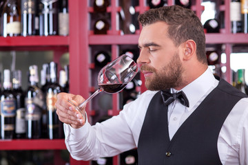 Cheerful male sommelier is analyzing quality of drink