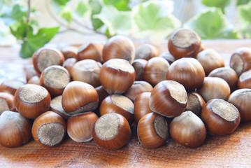 hazelnuts