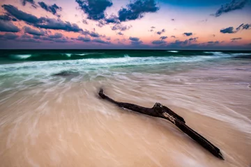 Selbstklebende Fototapeten Driftwood on a deserted caribbean beach, at sunset, in Riviera Maya, Mexico. The long exposure creates an artistic motion effect. © mandritoiu