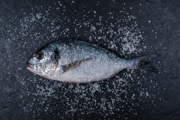 Salted dorada on the dark stone table