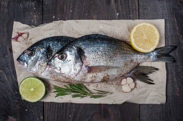 Raw dorada and spices on the wooden table
