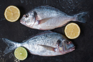 Two fresh raw doradas with lemon on the dark table