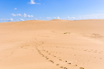 Fototapeta na wymiar Sand dunes in Cabo Polonio, Uruguay