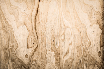 Dirty Wood Bacground