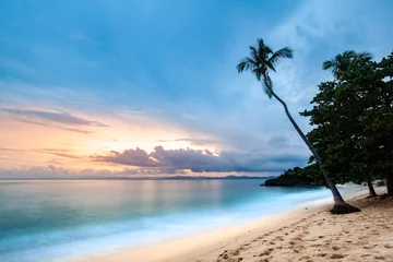 Foto auf Acrylglas Antireflex Exotic seascape with a palm tree leaning above the Caribbean sea at sunset, in Cayo Levantado, Dominican Republic © mandritoiu