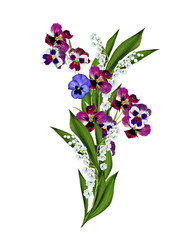 Obraz premium pansy flowers isolated on white background