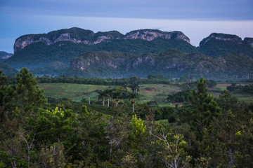 Fototapeta na wymiar Landscape of mogote in Vinales Valley in Cuba.