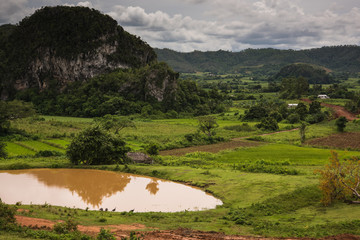 Obraz premium Landscape of mogote in Vinales Valley in Cuba.