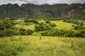 Landscape of mogote in Vinales Valley in Cuba.