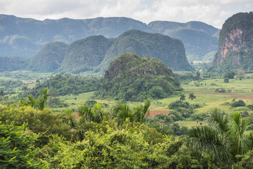 Panoramic view over landscape with mogotes in Cuba