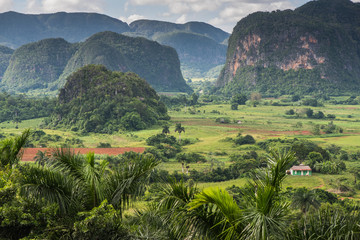 Panoramic view over landscape with mogotes in Cuba © marcin jucha