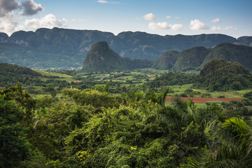 Obraz premium Panoramic view over landscape with mogotes in Cuba