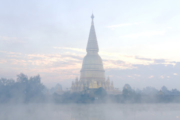 Sharp pagoda gold with steam