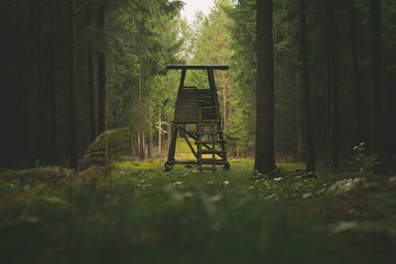 Jägersitz im Wald