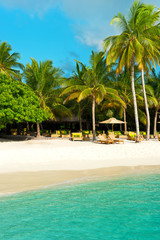 Tropical sand beach with palm trees. Maldives Island