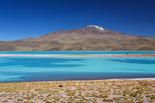 Skyblue lagoon, Uturuncu volcano, Altiplano, Bolivia