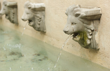 Fototapeta na wymiar Statue of lion heads spout water.