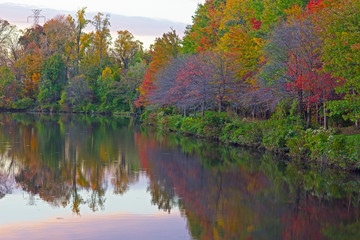 Trees and reflections around a city pond in Falls Church, Virginia, USA. Autumn colors at sunset in urban area.