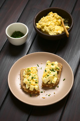 Egg Salad Sandwich, egg salad on wholegrain bread with chives, photographed with natural light (Selective Focus, Focus on the front of the sandwiches)