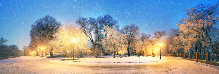 Mariinsky garden during inclement weather