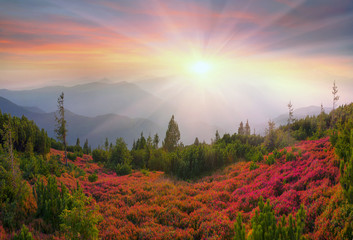 Autumn colors in the Carpathians