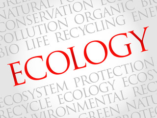 Ecology word cloud, environmental concept