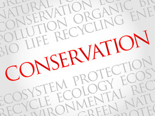 Conservation word cloud, environmental concept