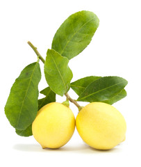 two ripe lemon in closeup