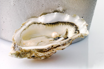Auster (Ostreidae), Perle, Sektkübel