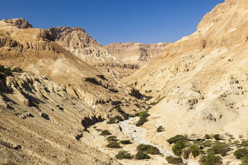 Fototapeta na wymiar View from Ein Gedi kibbutz. Near Dead Sea, Israel