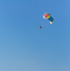 People parasailing over the sea