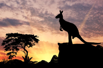 Silhouet van een kangoeroe
