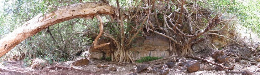 Fototapeta premium Karijini National Park, Western Australia