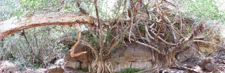 Karijini National Park, Western Australia