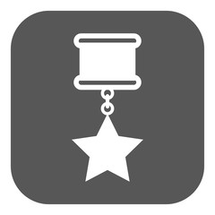 The medal icon. Reward symbol. Flat