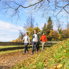 fröhliche Walking-Gruppe in herbstlicher Landschaft