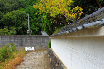 奈良　山の辺の道