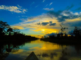 Fotobehang Amazone rivier © ammonite
