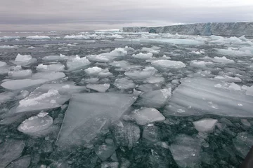 Gardinen Arctic glacier    © Vladimir Melnik